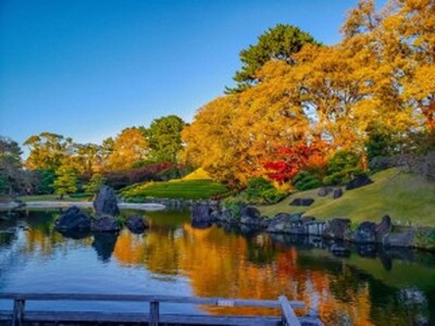 歴史薫る「駿府城」から出発。美しい紅葉山庭園と荘厳な国宝を心静かに巡る、静岡市・心整う大人の秋旅