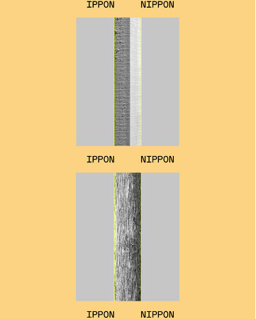 人と木の心地よい距離感を探す、巡回型ダイアローグ「IPPON NIPPON ーthe world's echoー」が始動