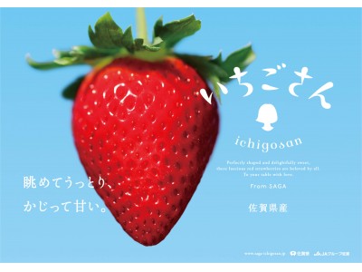 佐賀県から20年ぶりとなる新しいいちごが誕生！開発に7年、1万5000の試験株から選ばれた佐賀県次世代のいちご新品種のブランド名を「いちごさん」と発表！
