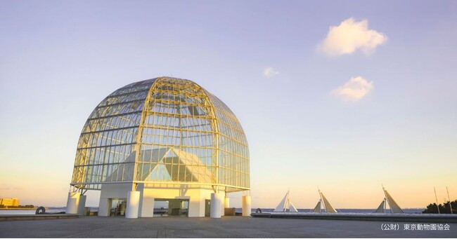 【葛西臨海水族園】20時まで開園時間延長の期間限定イベント「水族園で夕涼み」を開催します!夏の夕暮れを彩る特別なガイドトークや限定メニューが登場