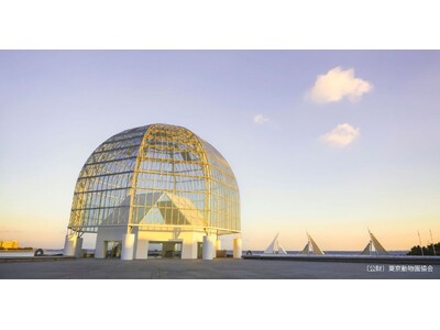 【葛西臨海水族園】20時まで開園時間延長の期間限定イベント「水族園で夕涼み」を開催します！夏の夕暮れを彩る特別なガイドトークや限定メニューが登場
