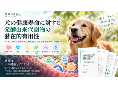 ���̌��N�����Ɂu���y�R����ӕ��v�͂ǂ��ւ��̂��B58���̕��������ƂɌ������|�[�g�����J