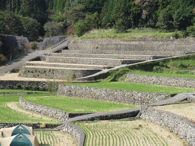 【福岡県庁】地元ガイドの案内で竹棚田を歩き、美しい景観を撮影してみませんか～東峰村で棚田フォトガイドツア...
