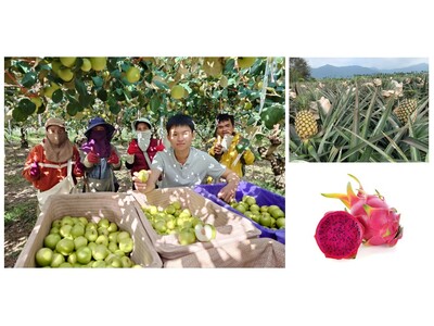 「台湾発　屏東県農産品フェア」を近鉄百貨店あべのハルカス近鉄本店で開催＜日台友好の架け橋として、台湾南部...