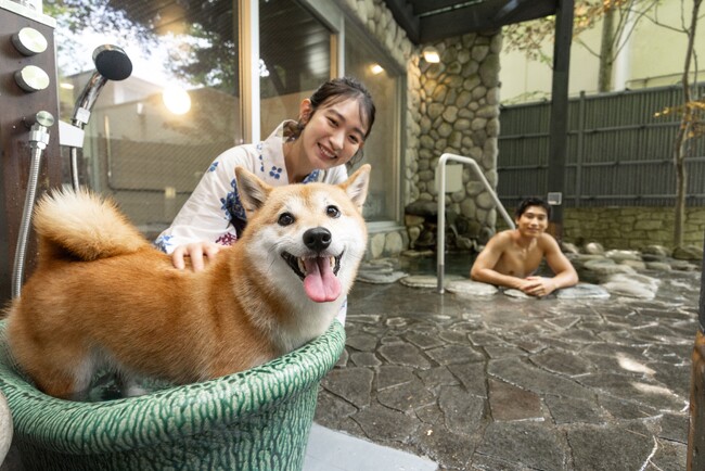 わんわんリゾート 粟津の"看板犬"の名前をみんなで決めよう！Instagramで「お名前募集キャンペーン」を8月8日(土)より開催