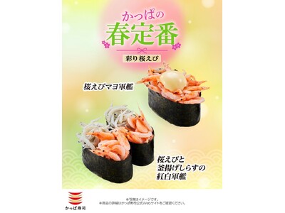 【かっぱ寿司】春のごちそう、桜えび春を告げる上品な甘み「桜えび」が一皿税込１１０円～！ふっくら「釜揚げし...