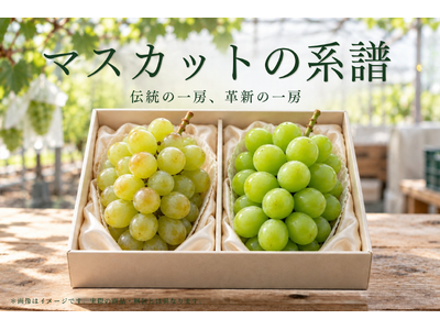 過去と現在を繋ぐ『マスカットの系譜』2種のマスカット食べ比べセットを限定販売します