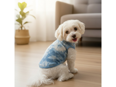 「犬服」ではなく「文化をまとう」徳島の伝統工芸「阿波藍」を未来へ、ドッグカフェARPEGGIOが天然藍染オーダーメイドブランド『ARPEGGIO indigo』を始動