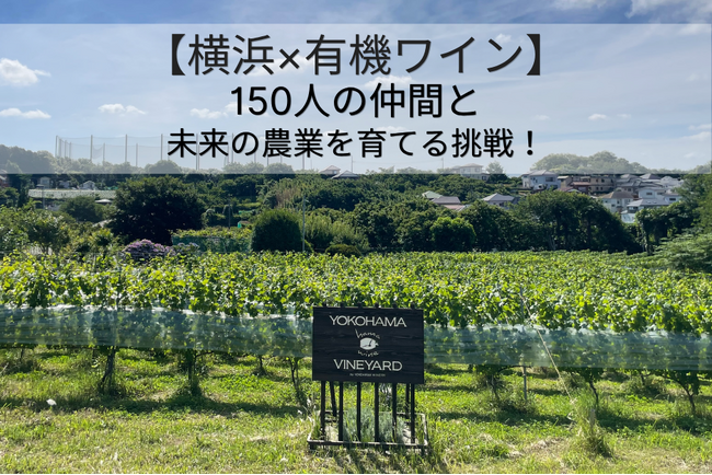横濱ワイナリー、次世代の都市農業に向けたクラウドファンディングを開始