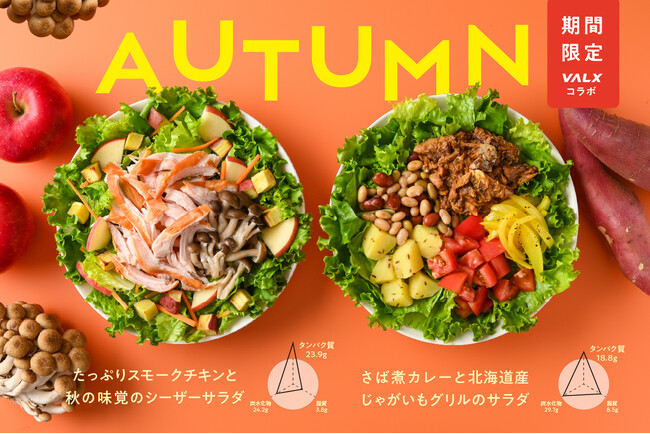 『タンパク質×秋野菜』の主食サラダが登場！季節限定2種を2025年9月1日より販売　― フィットネスブランドVALXとコラボした特別メニュー ―