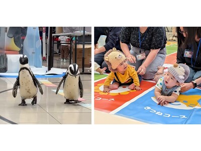 【開催レポート】10月10日は赤ちゃんの日！ペンギンのよちよち開会セレモニーで開幕！ 「アドベンチャーワールド＆アカチャンホンポ」ハイハイレース１００名参加で初開催