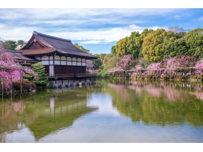 京都 平安神宮会館で８日間限定の一般公開！絶対に見ておきたい、桜咲き誇る「神苑」と共に愉しむ