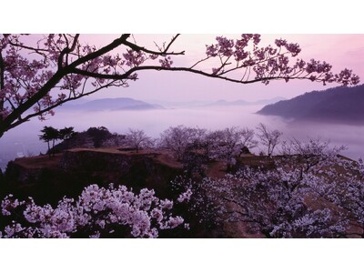 【竹田城 城下町 ホテル EN】“桜×雲海”で竹田城跡ならではのハイキングを満喫できる「春の登山セット」...