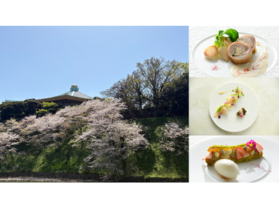 皇居の桜を独り占めのとっておきお花見スポット　VMG CAFE 九段会館テラス 「桜づくしコース」　3月23日（月）～4月5日（日）に期間限定で提供
