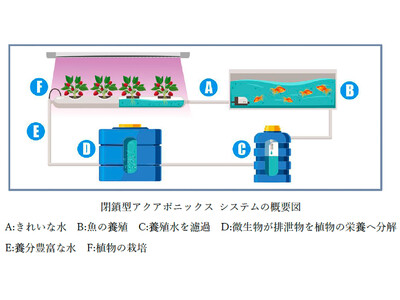 奈良建設、GREEN×EXPO 2027　横浜市出展「建物空間を活用した発信拠点」における協賛契約を締結