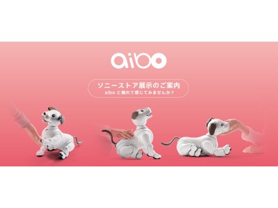 aiboに会いに行きませんか　2018年1月11日（木）よりソニーストア銀座、札幌、名古屋、大阪、福岡天神にaiboが初登場！ 