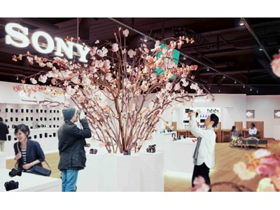 3月1日（木）より全国5店舗のソニーストアにて『桜 in Sony Store 2018』を開催！一足早く満開の桜を観ながらソニー製品をお楽しみいただけます