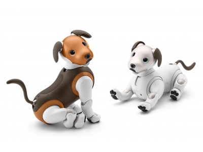 エンタテインメントロボット“aibo”（アイボ）　2019年限定カラーモデル「aibo チョコ エディション」を発売