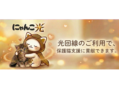 「にゃんこ光 Powered by So-net」提供開始