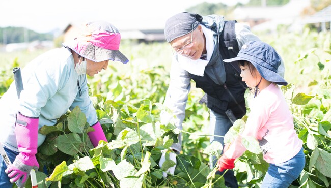 【ひょうごフィールドパビリオン】 “食欲の秋” “芸術の秋”におすすめ！「丹波エリア」で旬の食材や陶芸体験