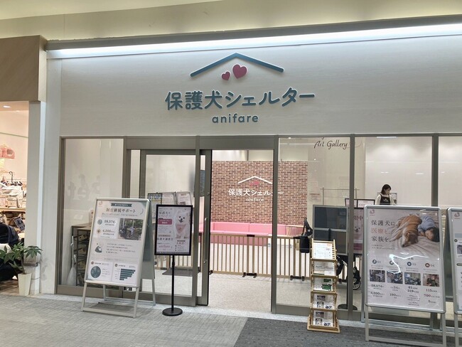 商業施設に保護犬シェルター - イオンモール大日に「保護犬シェルターanifare」を開設