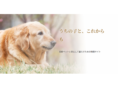 高齢ペットとの暮らしで「知っておきたい」を一冊に。無料ガイドブックと情報サイト「うちの子と、これからも」を公開