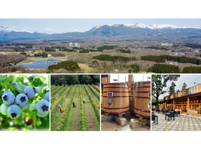Nasu 661 WINE HILLS「ワイン＝ブドウ」を超えて　那須御用邸の麓、ブルーベリーと里山の丘