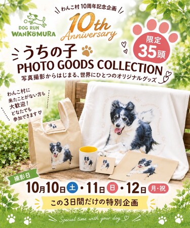 「愛犬の