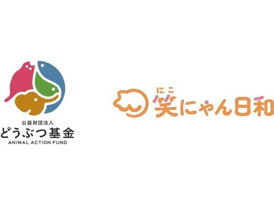 WHDCアクロディアの保護猫応援プロジェクト「笑にゃん日和」、2026年上期の収益から約60万円をどうぶつ基金へ寄付