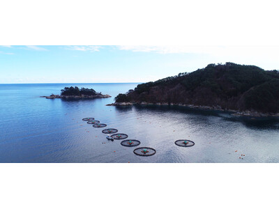山林火災被害の岩手県大槌町へ寄付