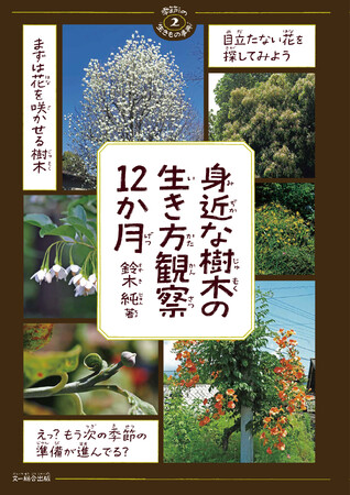 プレスリリース「身近な場所で観察できる、楽しい樹木観察のヒントが盛りだくさん!?『身近な樹木の生き方観察12か月』発売中！」のイメージ画像