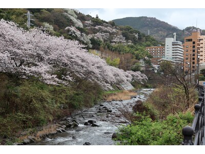 【奥湯河原温泉　山翠楼SANSUIROU】2024春の山翠楼おもてなし夕食膳