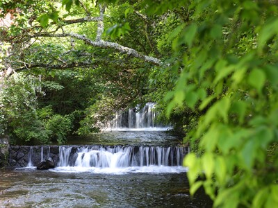 【山翠楼SANSUIROU/海石榴つばき】初夏のご旅行はご家族一緒に奥湯河原へ！