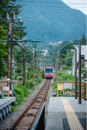 【きたの風茶寮で過ごすGW】春の恵みを味わい尽くす至福のひととき◆新緑と花々に包まれた心に残る一日を