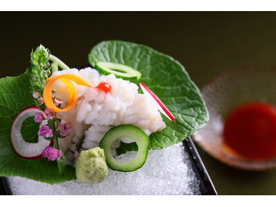 【奥湯河原温泉 海石榴つばき】夏季限定・新プランのご紹介