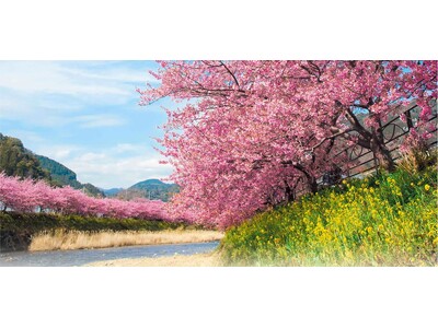 【海石榴/山翠楼/千代田荘】湯河原梅林が見頃となりました ～湯河原梅林「梅の宴」鑑賞特別プラン（3月8日まで）