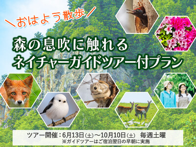 【北海道・層雲峡温泉】＼おはよう散歩／シマエナガにも出会えるかも？！自然の見どころや観察ポイントを教えてもらえるネイチャーガイド付きプラン