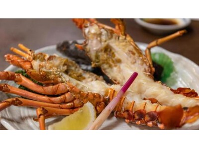 【1日2組＆平日限定】香ばしく輝く“伊勢海老の黄金焼”を堪能！食事処「桜房」で贅沢なひとときを過ごす『桜房極みプラン』が新登場