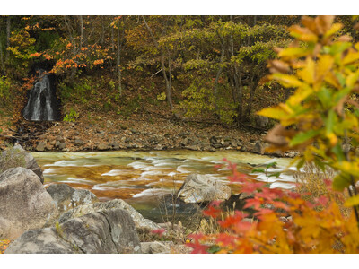 【きたゆざわ 森のソラニワ・緑の風リゾート きたゆざわ・湯元ホロホロ山荘】ガソリンチケット3,000円でお得に紅葉ドライブ♪秋はぜひ家族で北湯沢温泉へ！