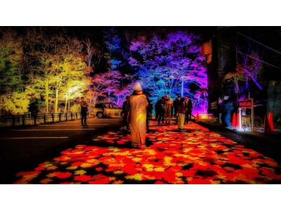 【北海道／層雲峡】夜は紅葉が灯りに染まる――日本一早い紅葉の名所・層雲峡温泉で楽しむ「奇跡のイルミネート」