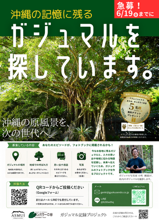 ガジュマル記録プロジェクト！あなたのおススメのガジュマルを教えてください！