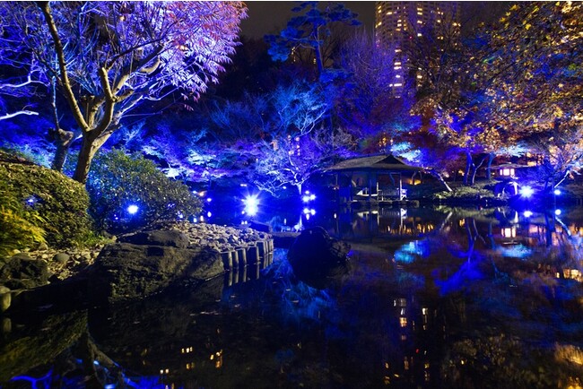 〈都内で見る幻想的な冬景色〉冬、冴ゆる『TOKYO BLUE GARDEN WINTER FESTIVAL 2023』開催！八芳園の日本庭園が青い光で包まれる特別ライトアップを1月7日より実施のメイン画像