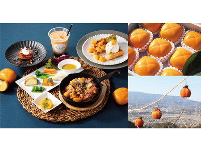 〈和歌山県橋本市〉“柿色に染まるまち、橋本市” 旬の柿の魅力を存分に堪能する5日間ポップアップイベント『この世界を柿色に染めたい。東京編』を東京・白金台「MuSuBu」で開催