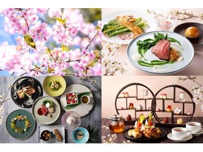 〈3/20～4/10開催〉八芳園の400年以上続く日本庭園が春色に染まるライトアップイベント　春、薫る。...