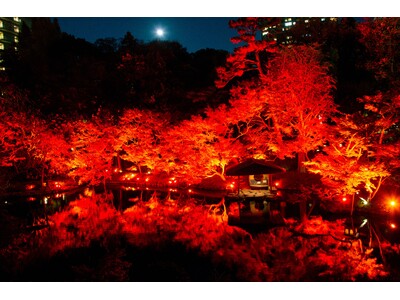 【11/27(金)～12/6(日)】広大な日本庭園を橙から赤に染めるイベント『TOKYO RED GARDEN 2026』開催