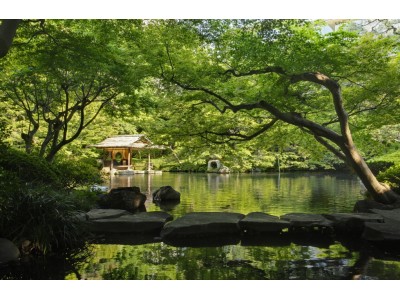 都心にいながら、森林欲と「はしり・旬・なごり」の食を愉しむ 『八芳園の新緑フェスティバル2019』