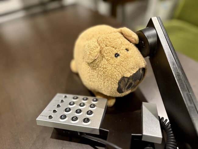 ぬいぐるみが会社で働く！？都内IT企業の「ぬいぐるみインターン」が話題に
