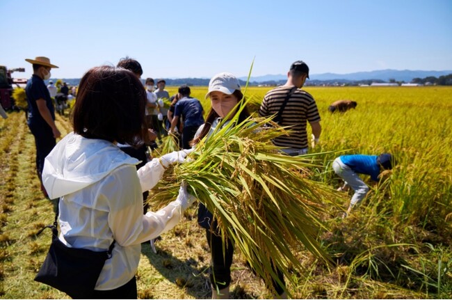アイリスグループ、福島県浪江町で稲刈りを実施