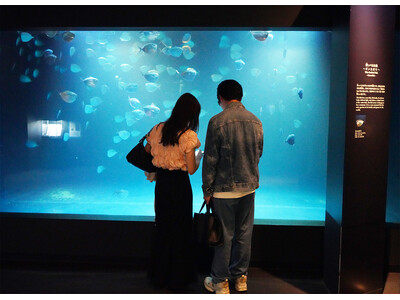【9/6イベント開催報告】夜の水族館を舞台にした恋活イベント「Night Aquarium 2026 in アクアマリンふくしま」