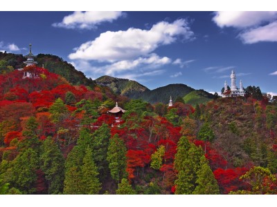 神秘的な絶景が目の前に！パワースポットで楽しむ紅葉１１月１１日（日）「なぐり紅葉まつり」開催